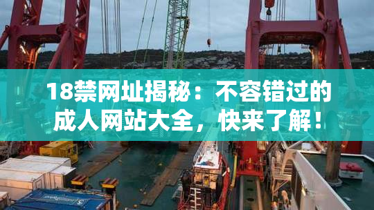 18禁网址揭秘：不容错过的成人网站大全，快来了解！