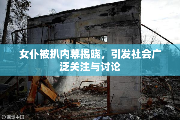 女仆被扒内幕揭晓，引发社会广泛关注与讨论
