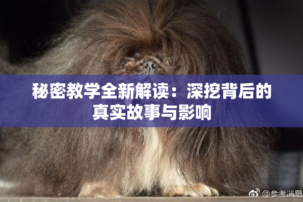 秘密教学全新解读：深挖背后的真实故事与影响