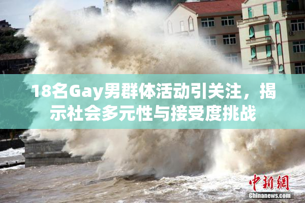 18名Gay男群体活动引关注，揭示社会多元性与接受度挑战