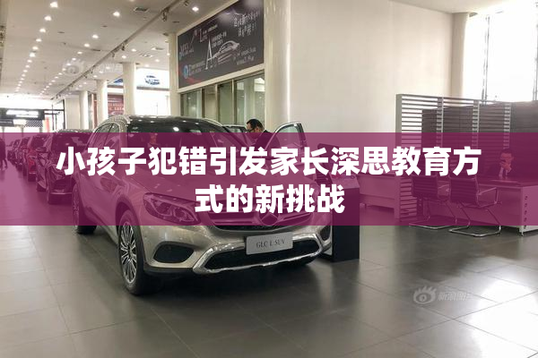 小孩子犯错引发家长深思教育方式的新挑战