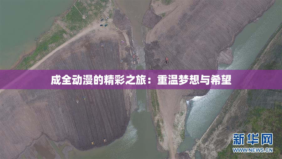 成全动漫的精彩之旅：重温梦想与希望
