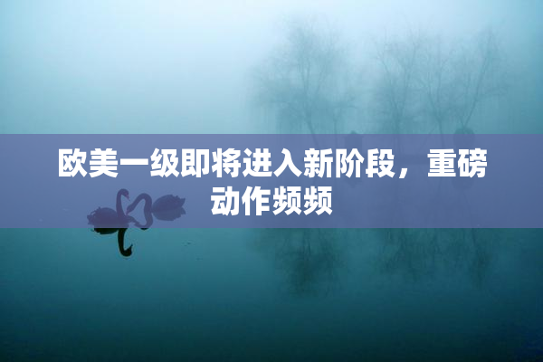 欧美一级即将进入新阶段，重磅动作频频