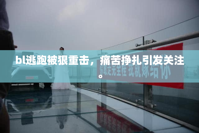 bl逃跑被狠重击，痛苦挣扎引发关注。