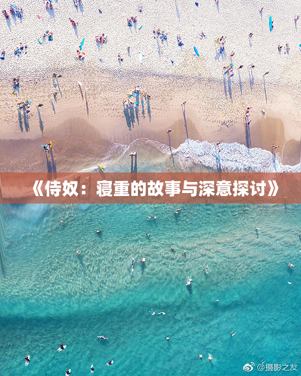 《侍奴：寝重的故事与深意探讨》