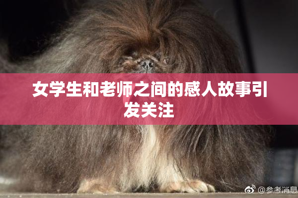 女学生和老师之间的感人故事引发关注