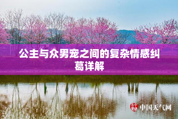 公主与众男宠之间的复杂情感纠葛详解