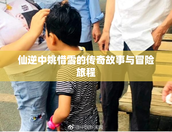 仙逆中姚惜雪的传奇故事与冒险旅程