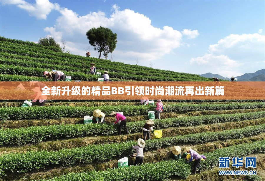 全新升级的精品BB引领时尚潮流再出新篇