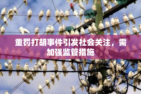 重罚打胡事件引发社会关注，需加强监管措施