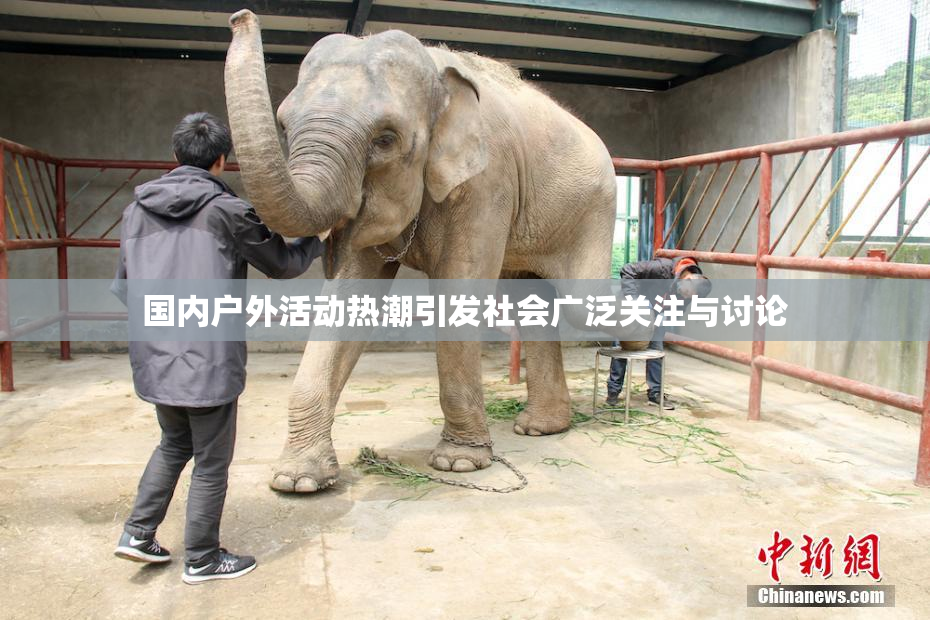 国内户外活动热潮引发社会广泛关注与讨论