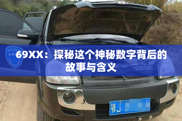 69ΧΧ：探秘这个神秘数字背后的故事与含义