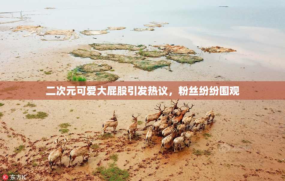 二次元可爱大屁股引发热议，粉丝纷纷围观