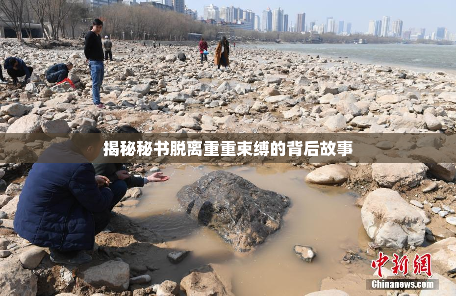 揭秘秘书脱离重重束缚的背后故事