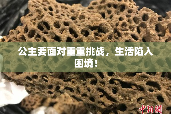 公主要面对重重挑战，生活陷入困境！