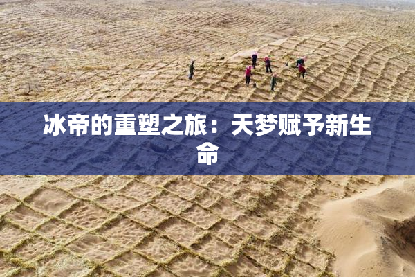 冰帝的重塑之旅：天梦赋予新生命
