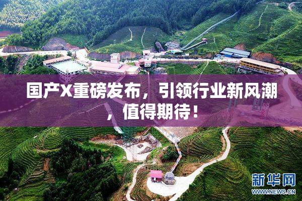 国产X重磅发布，引领行业新风潮，值得期待！