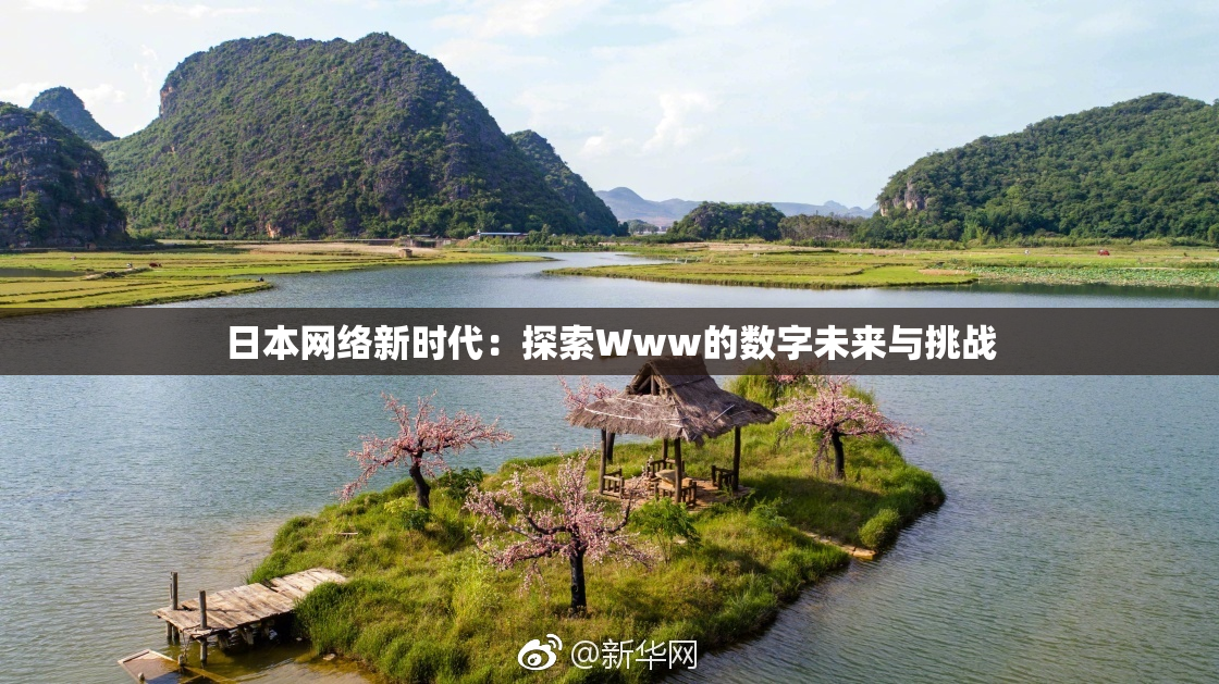 日本网络新时代：探索Www的数字未来与挑战