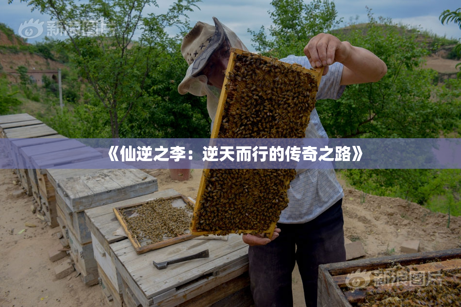 《仙逆之李：逆天而行的传奇之路》