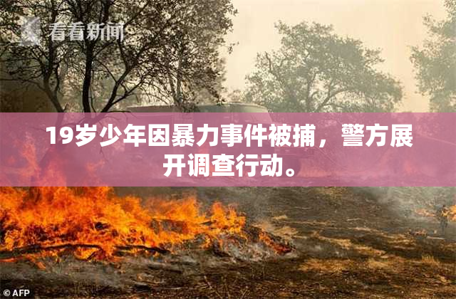 19岁少年因暴力事件被捕，警方展开调查行动。