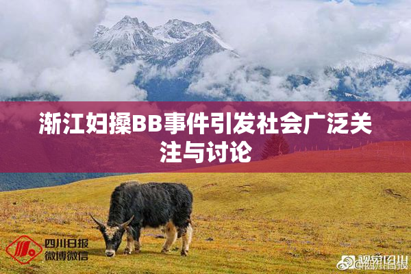 渐江妇搡BB事件引发社会广泛关注与讨论