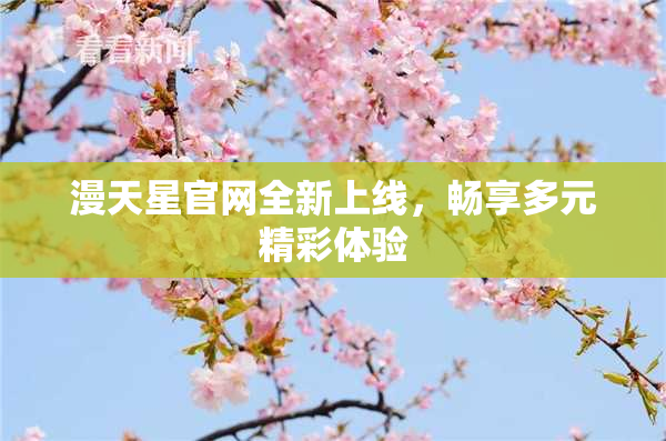 漫天星官网全新上线，畅享多元精彩体验