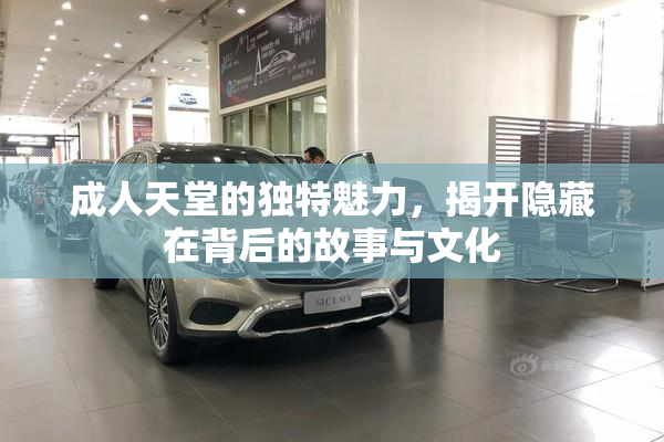 成人天堂的独特魅力，揭开隐藏在背后的故事与文化