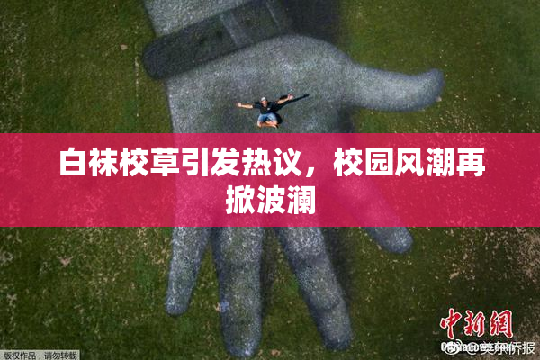 白袜校草引发热议，校园风潮再掀波澜