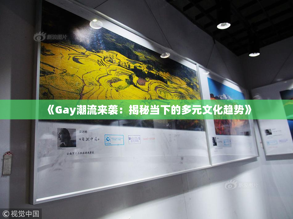 《Gay潮流来袭：揭秘当下的多元文化趋势》