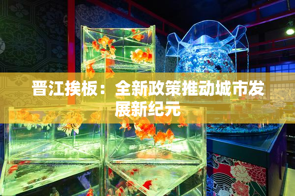晋江挨板：全新政策推动城市发展新纪元