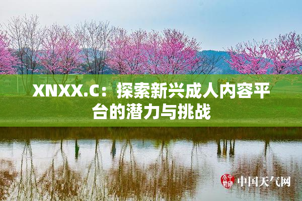 XNXX.C：探索新兴成人内容平台的潜力与挑战