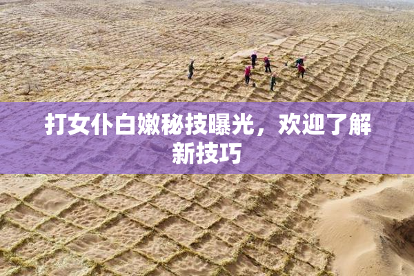 打女仆白嫩秘技曝光，欢迎了解新技巧