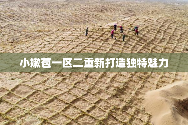小嫩苞一区二重新打造独特魅力