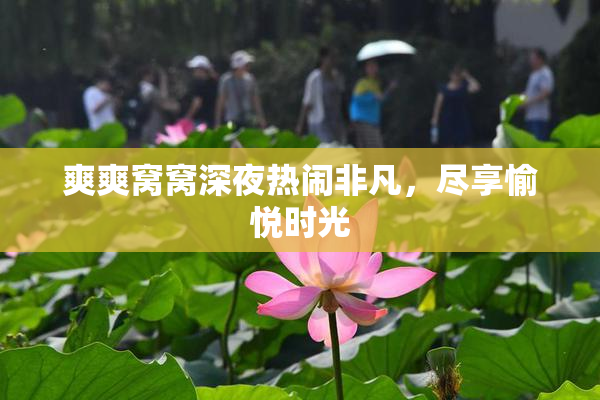爽爽窝窝深夜热闹非凡，尽享愉悦时光