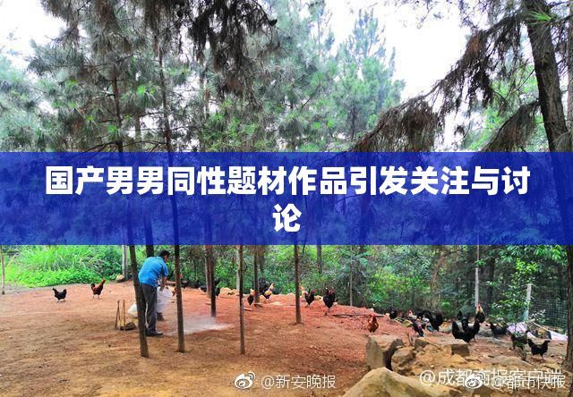 国产男男同性题材作品引发关注与讨论