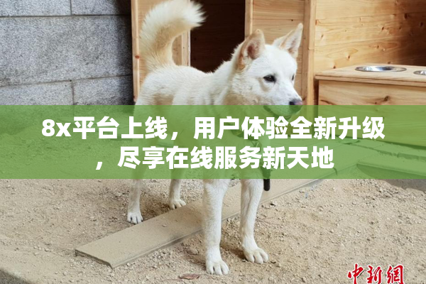8x平台上线，用户体验全新升级，尽享在线服务新天地