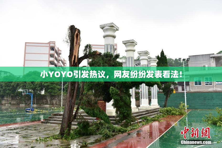 小YOYO引发热议，网友纷纷发表看法！
