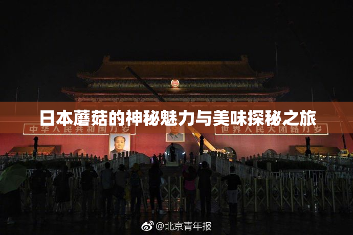 日本蘑菇的神秘魅力与美味探秘之旅