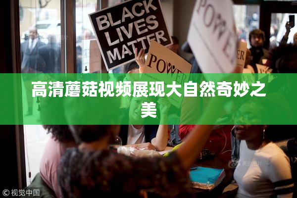 高清蘑菇视频展现大自然奇妙之美