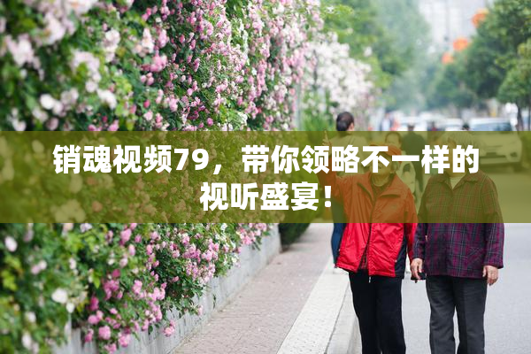 销魂视频79，带你领略不一样的视听盛宴！