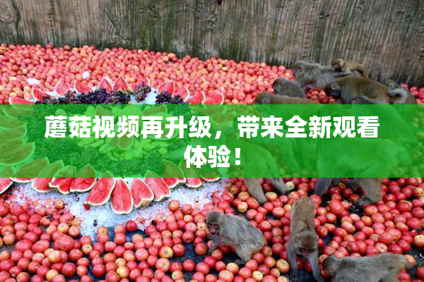 蘑菇视频再升级，带来全新观看体验！