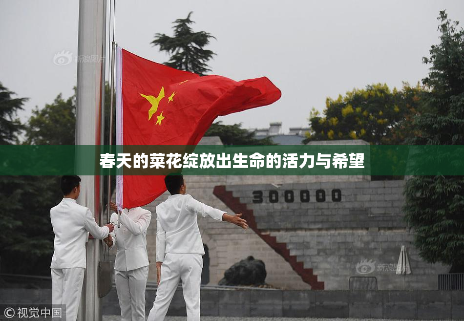 春天的菜花绽放出生命的活力与希望