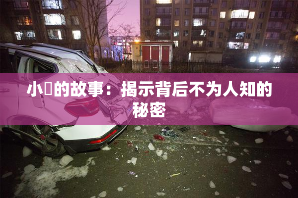 小泬的故事：揭示背后不为人知的秘密