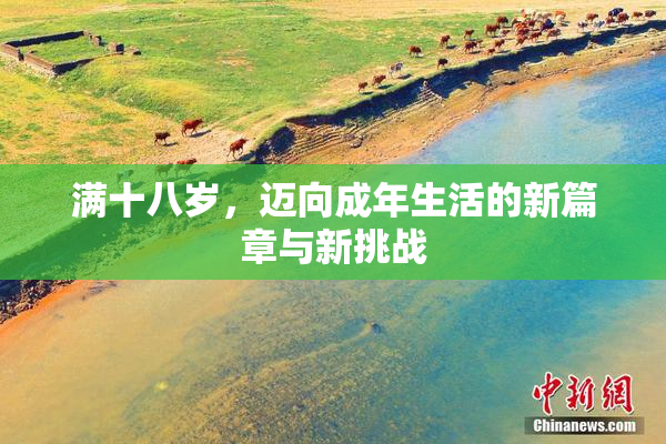 满十八岁，迈向成年生活的新篇章与新挑战