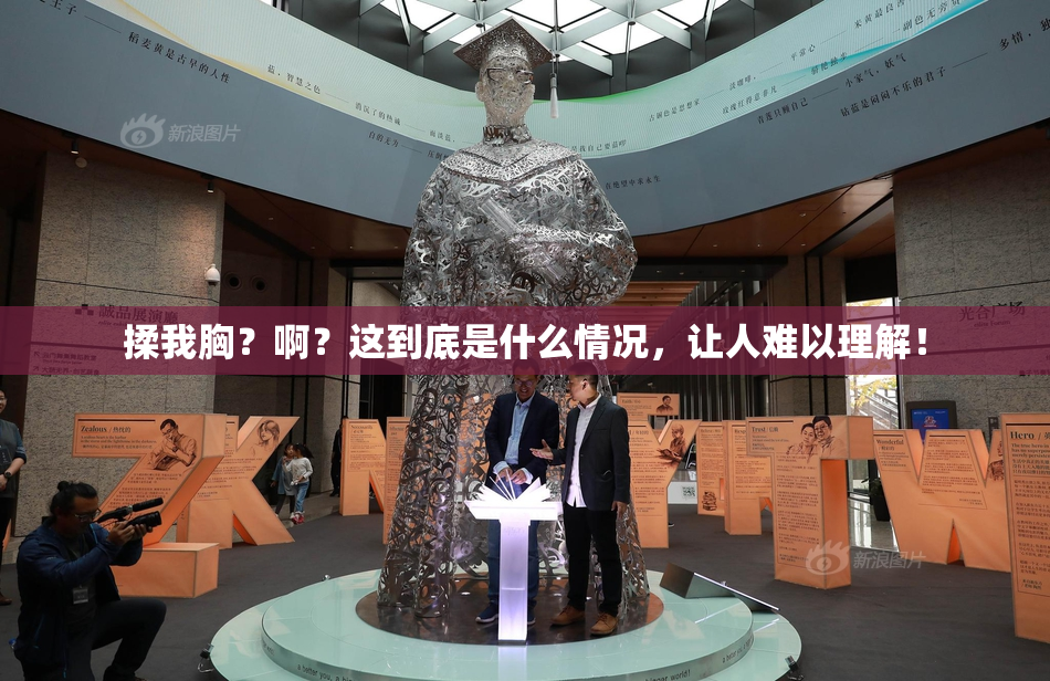 揉我胸？啊？这到底是什么情况，让人难以理解！