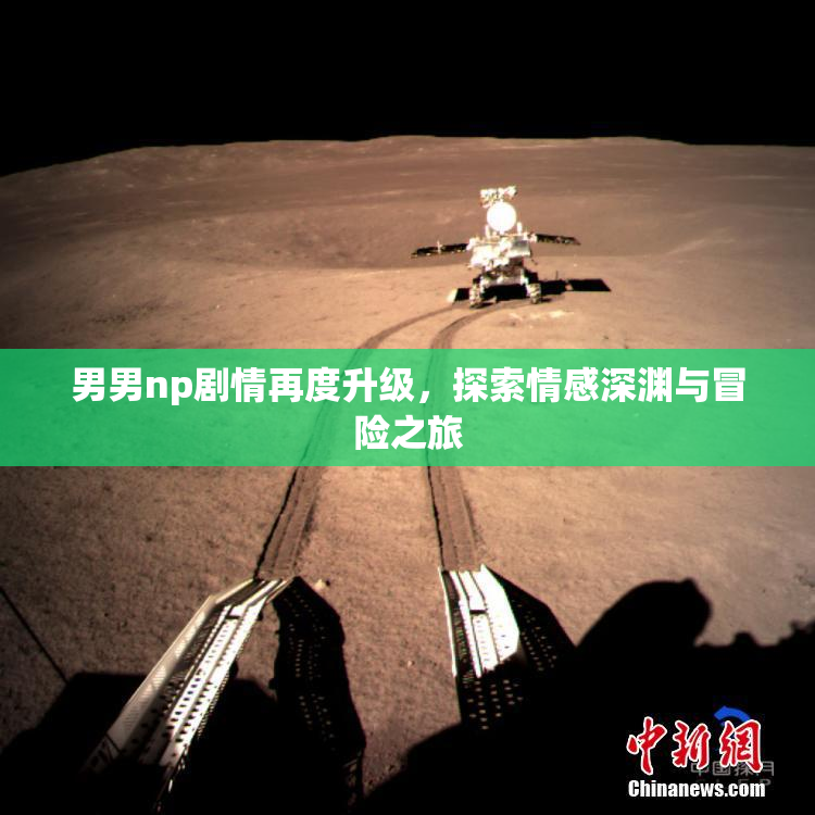 男男np剧情再度升级，探索情感深渊与冒险之旅