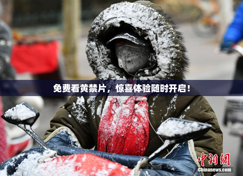 免费看黄禁片，惊喜体验随时开启！