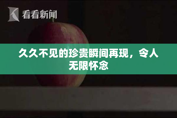 久久不见的珍贵瞬间再现，令人无限怀念