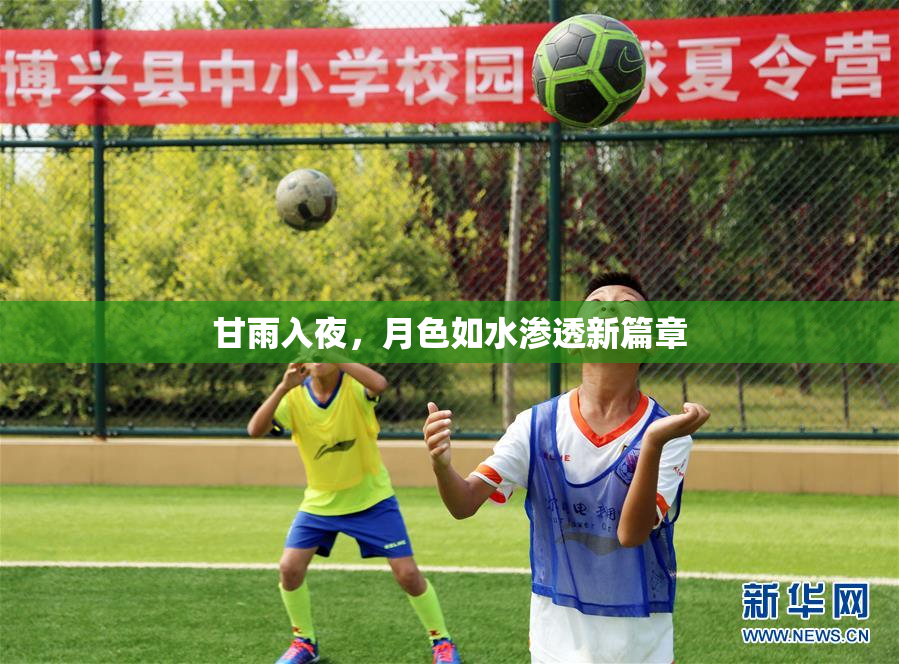 甘雨入夜，月色如水渗透新篇章
