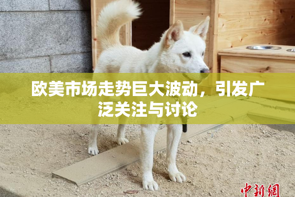 欧美市场走势巨大波动，引发广泛关注与讨论